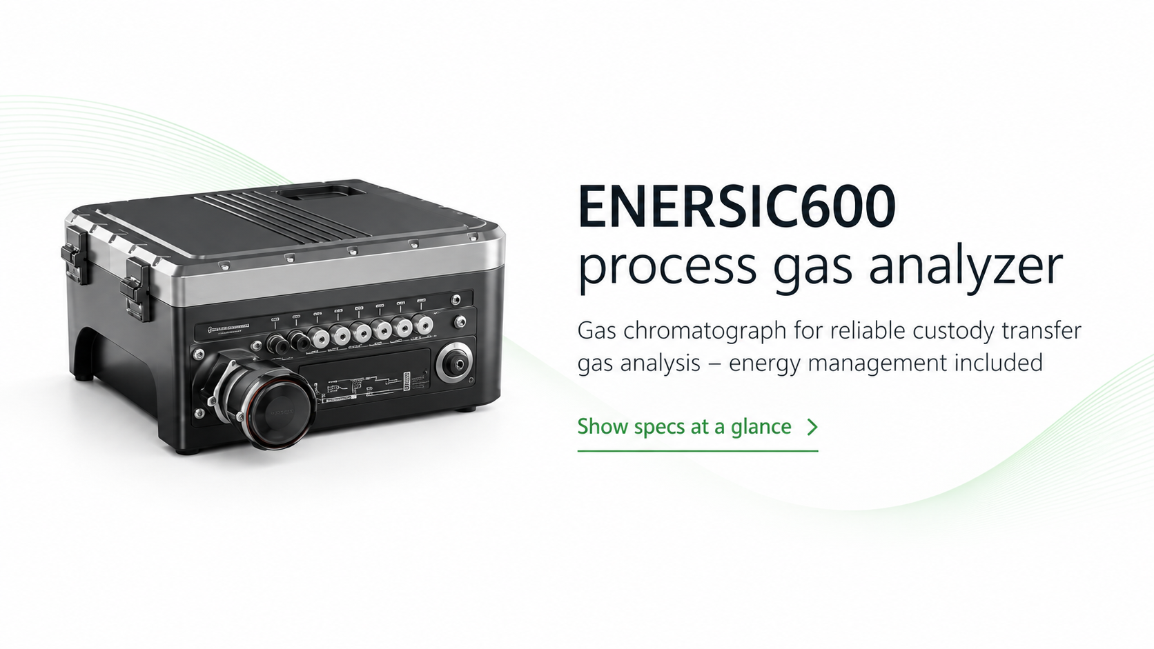 Process gas analyzer and gas chromatograph